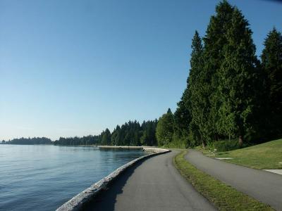 a view inside Stanley Park