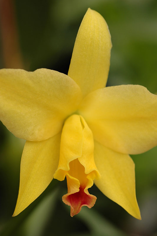DSC_3971pslow res.jpg