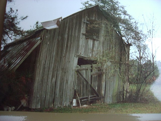 Cohen Garrison Shot Lucius Williams From This Shed