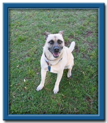 Buster_Park_001.jpg
