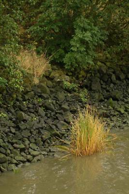 DSCF2145.jpg
