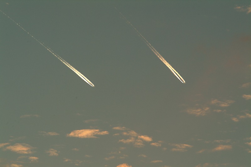 DSCF2390.jpg