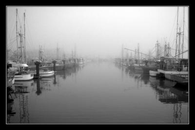 Fleet in Fog
