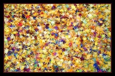 Mosaic of Leaves