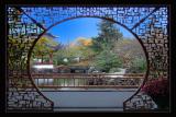 The View Through