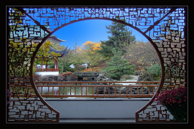 The View Through