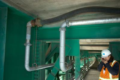 CRW_0650.jpg
