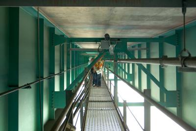 CRW_0733.jpg