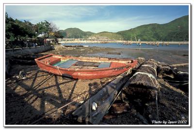 yam o-004.jpg