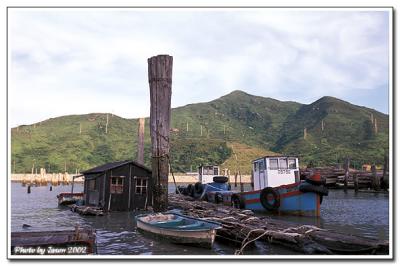 yam o-008.jpg