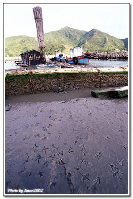 yam o-014.jpg