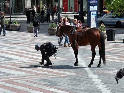 Curb Your Horse!