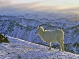 January In The Chugach