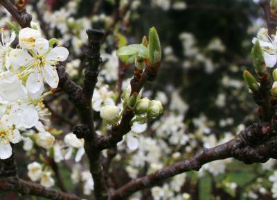 April 16