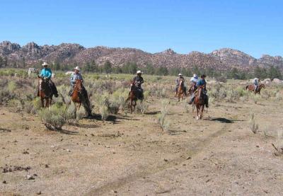 Cowboys