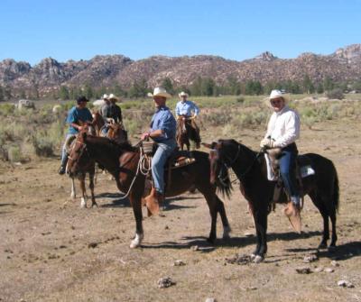 Cowboys