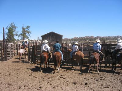 Checking out the corral action