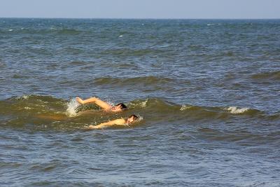 crw_0775_std.jpg