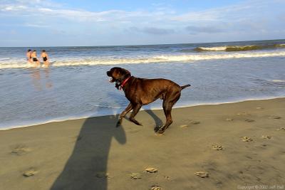 OBX 2002