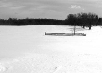 _JFC2168-bw.jpg