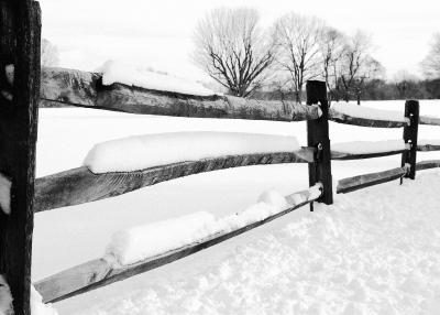 _JFC2171-bw.jpg