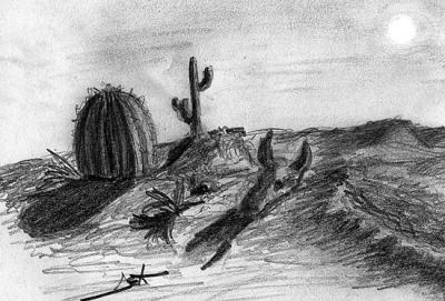 Death-Valley [Original Graphite Drawing]