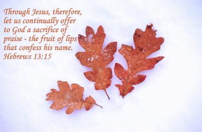 u16/jhiker/medium/39101076.Hebrews13_15.jpg