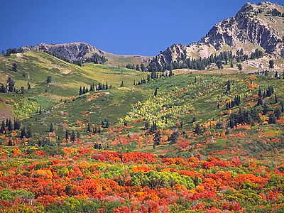 Fall at Snowbasin