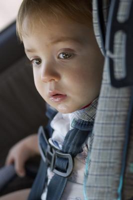 CRW_2088.jpg