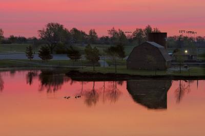 _MG_5229.jpg