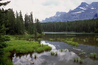 Ph0672.jpg