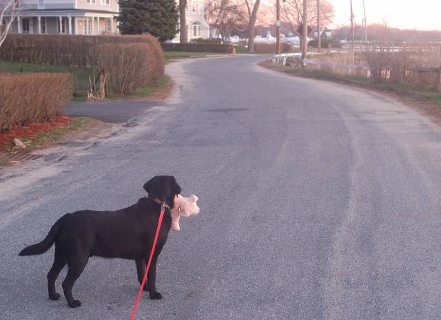 Java with piggy on April 14 2005 p.jpg
