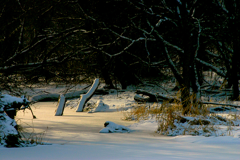 Riverbank 19.jpg