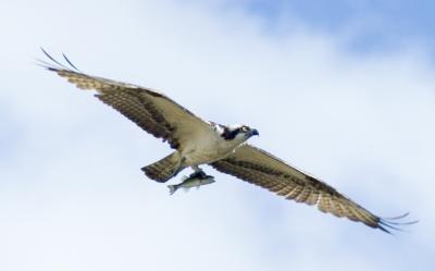 DSC_5543.jpg