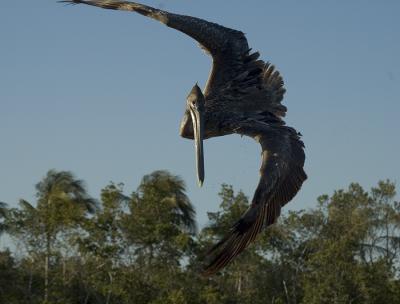 DSC_9479.jpg