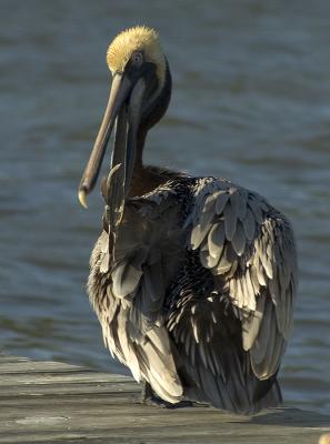 DSC_9426.jpg
