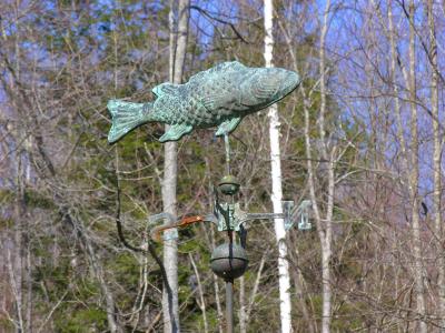 Flying Fish