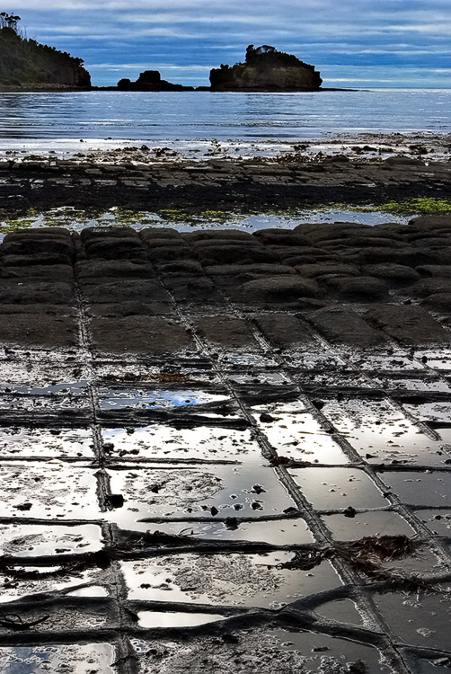 Tessellated Pavement ~ Eaglehawk Neck