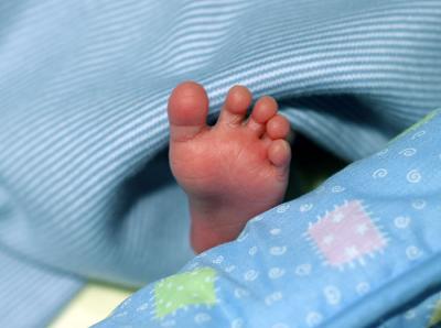 Baby Toes