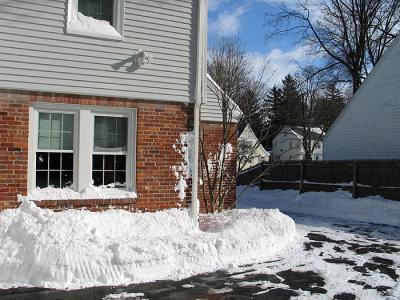 blizzard05_backdrive.jpg