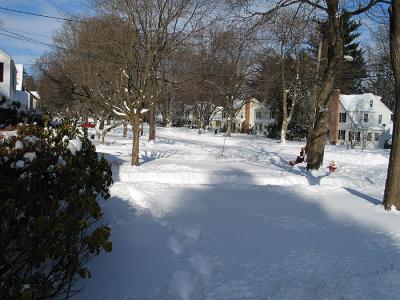 blizzard05_frontyard.jpg