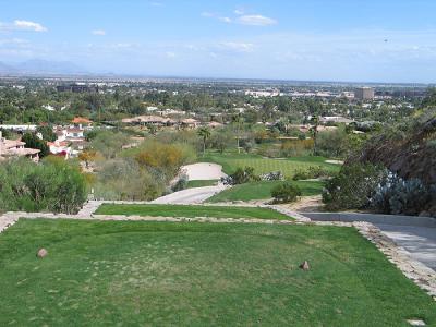 phoenician_par3.jpg