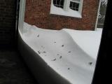 blizzard05_drift2.jpg