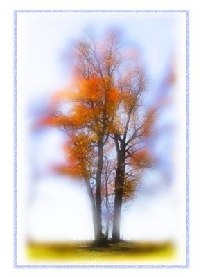 Autumn-Blur.jpg