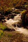 Munson Creek