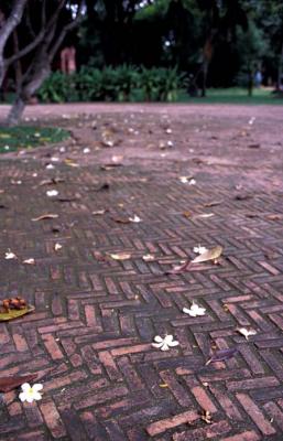 Image183.jpg