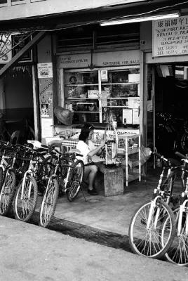 Bicycle Rental Shop Owner