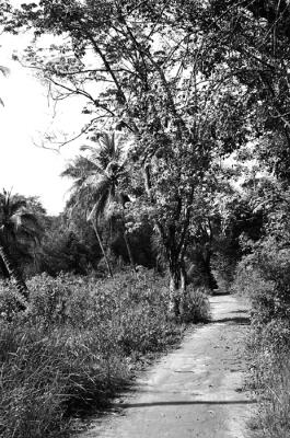 Path to Kampong Melayu Beach