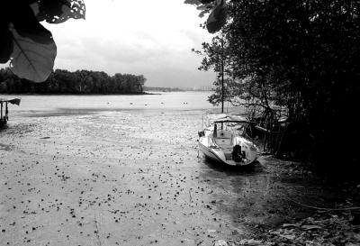 Boat at Low Tide III