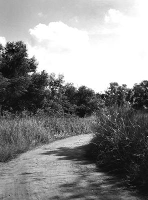 Singapore: Changi Point and Pulau Ubin